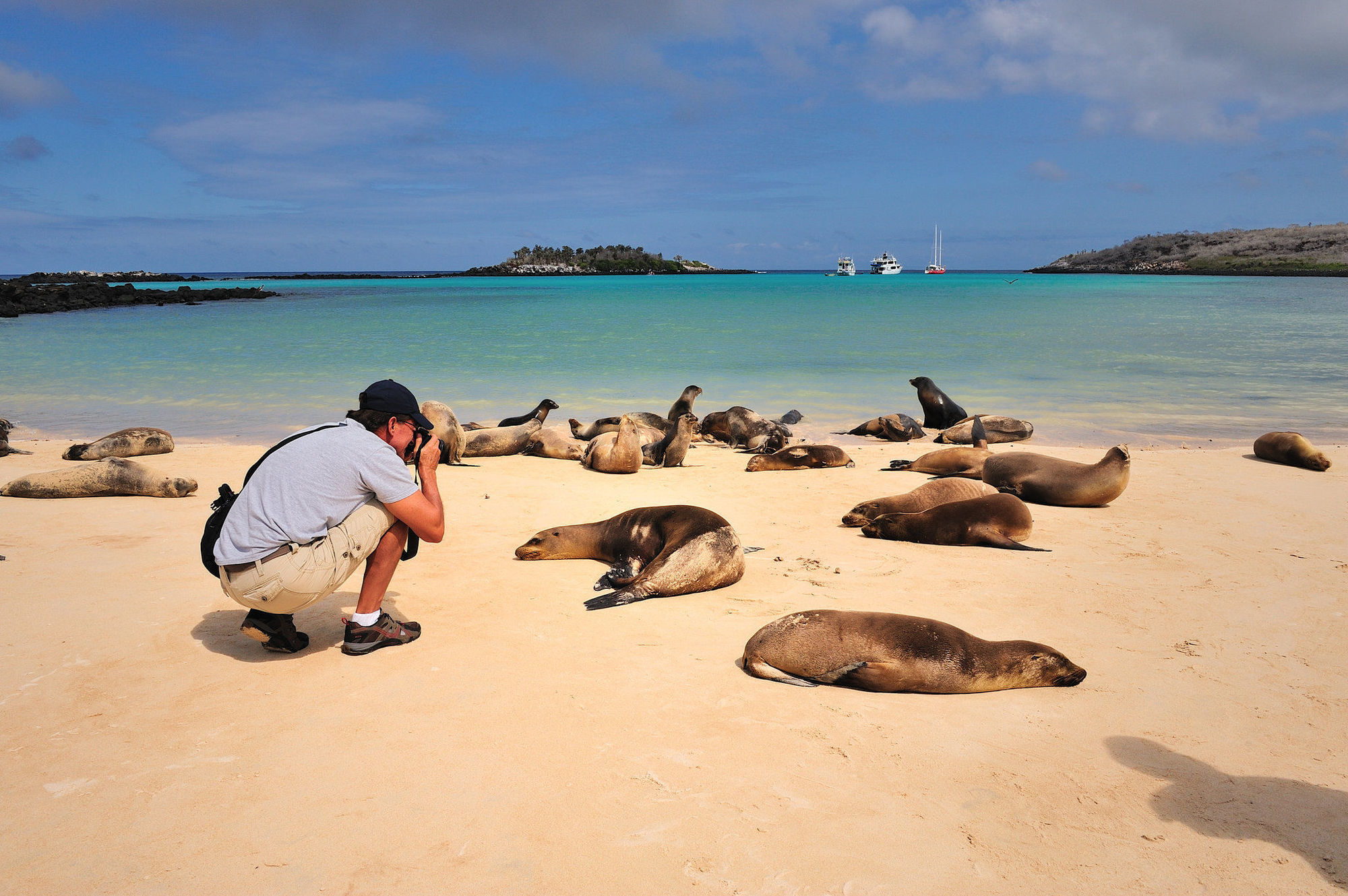 Pikaia Lodge Santa Cruz Island エクステリア 写真