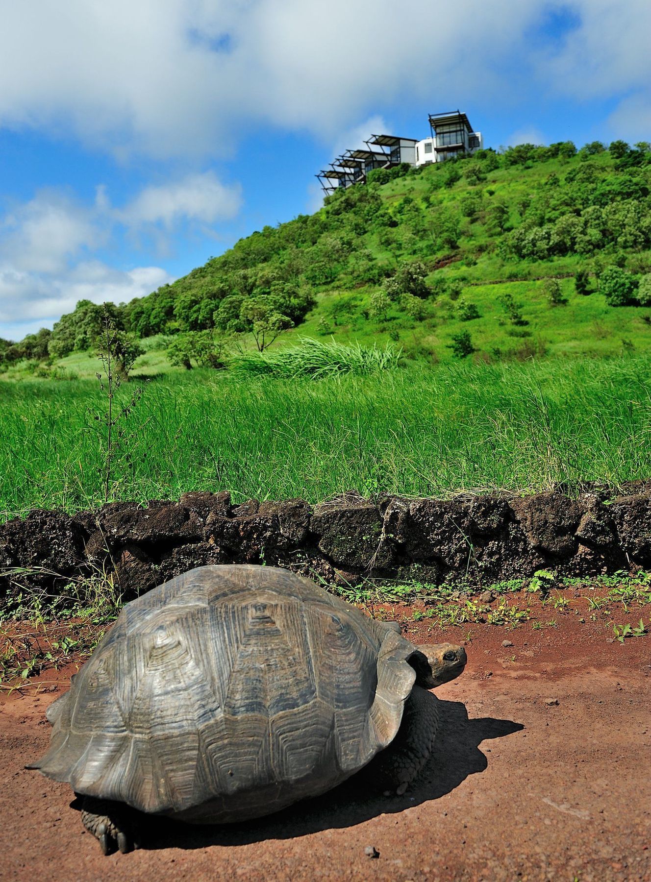 Pikaia Lodge Santa Cruz Island エクステリア 写真